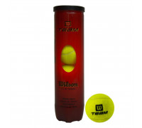 Мячи Wilson Team W Practice 4 Ball