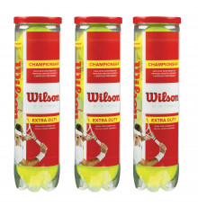 Мячи Wilson Championship x4 