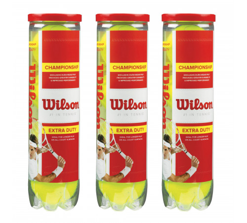 Мячи Wilson Championship x4 